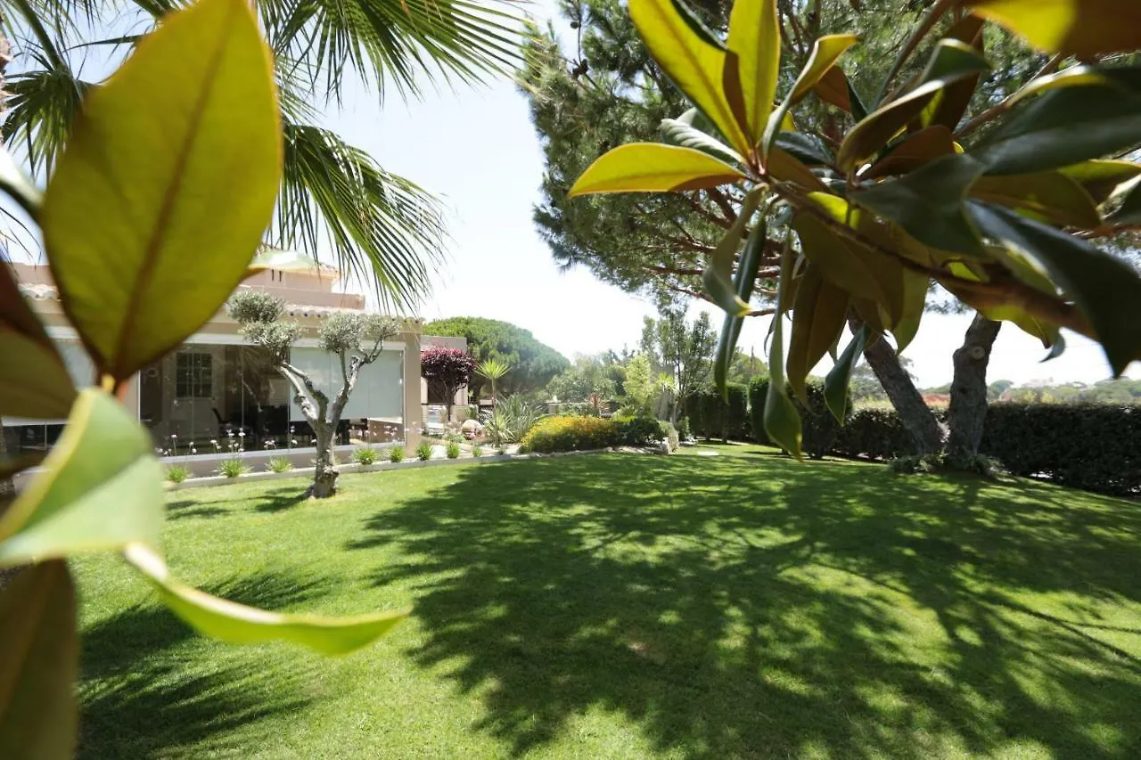 Quinta Do Pinheiro Manso - Holidays Villa - Marinha Beach Carvoeiro  Portugal